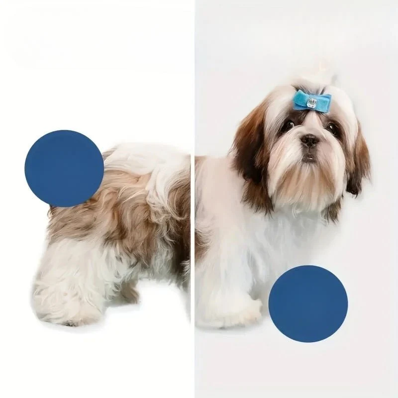 Pulseur 3-en-1 Toilettage Gros Chien