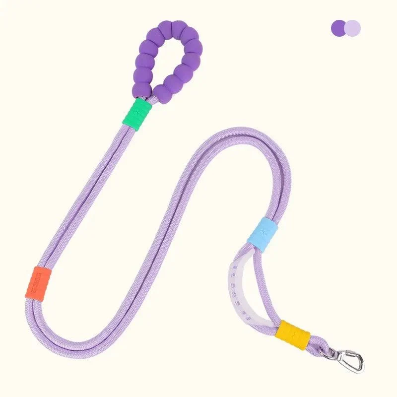Laisse Bungee Mains Libres Rembourrée Molosse