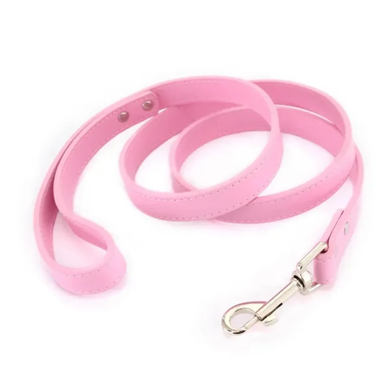 Laisse Style Cuir Nylon Chiot Couleurs