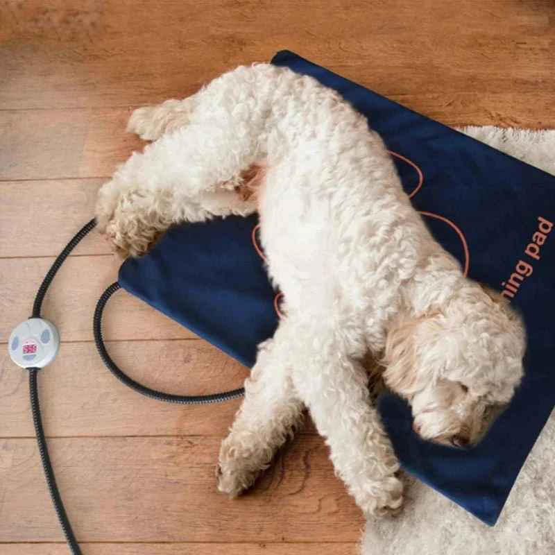 Tapis Chauffant Électrique Gros Chien 45x60cm