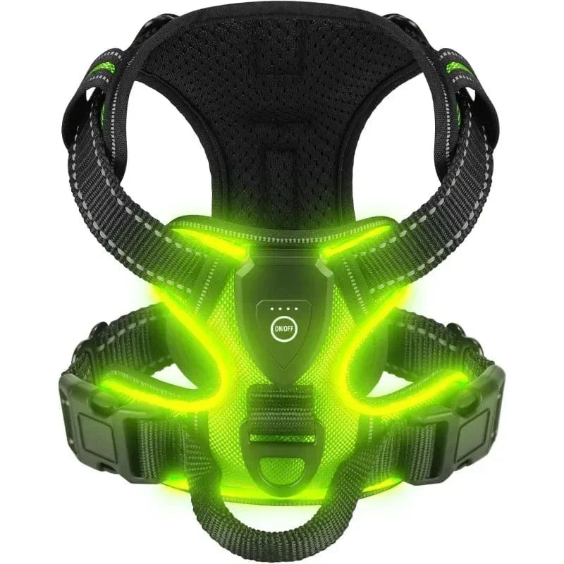 Harnais LED Lumineux Chien Sécurité Nuit