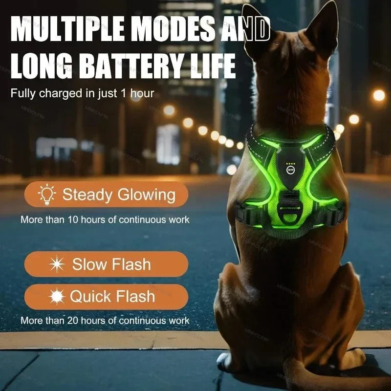 Harnais LED Lumineux Chien Sécurité Nuit