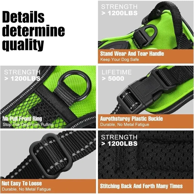 Harnais LED Lumineux Chien Sécurité Nuit