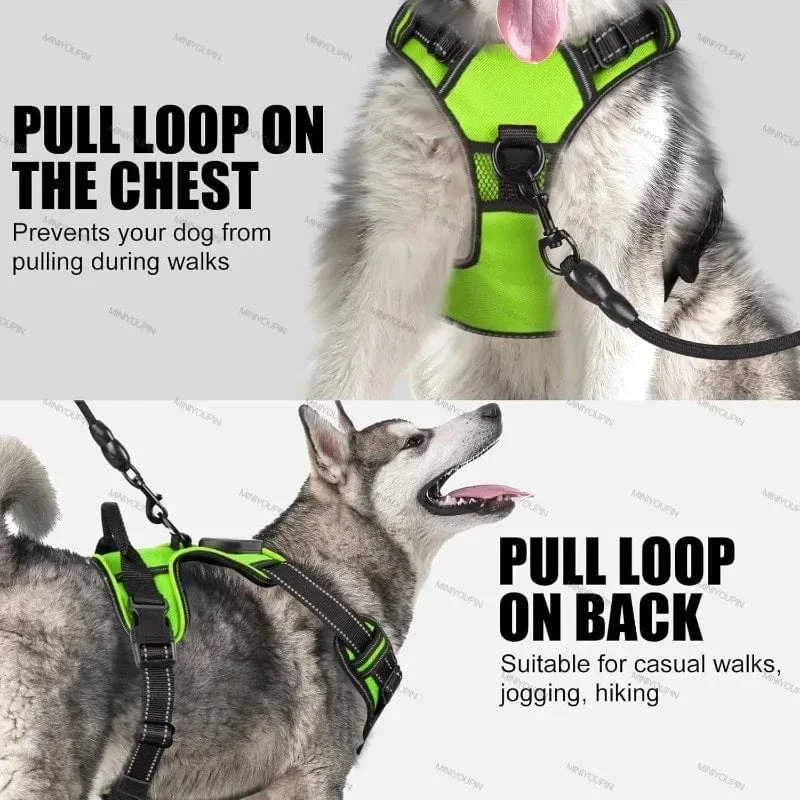 Harnais LED Lumineux Chien Sécurité Nuit