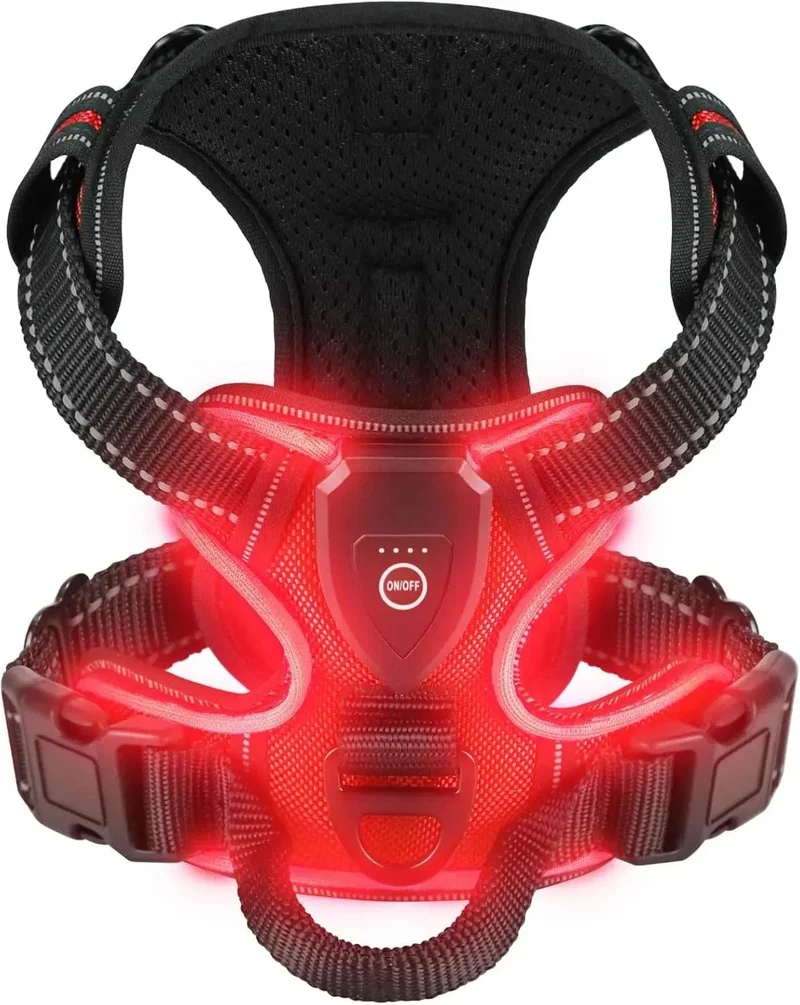 Harnais LED Lumineux Chien Sécurité Nuit