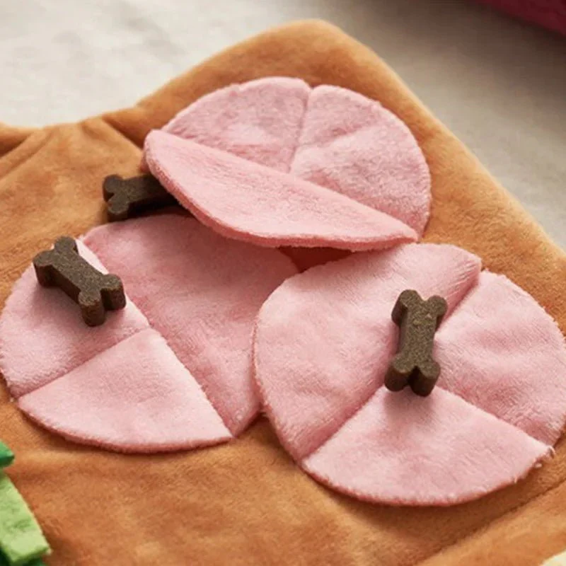 Tapis Fouille Interactif Gros Chien