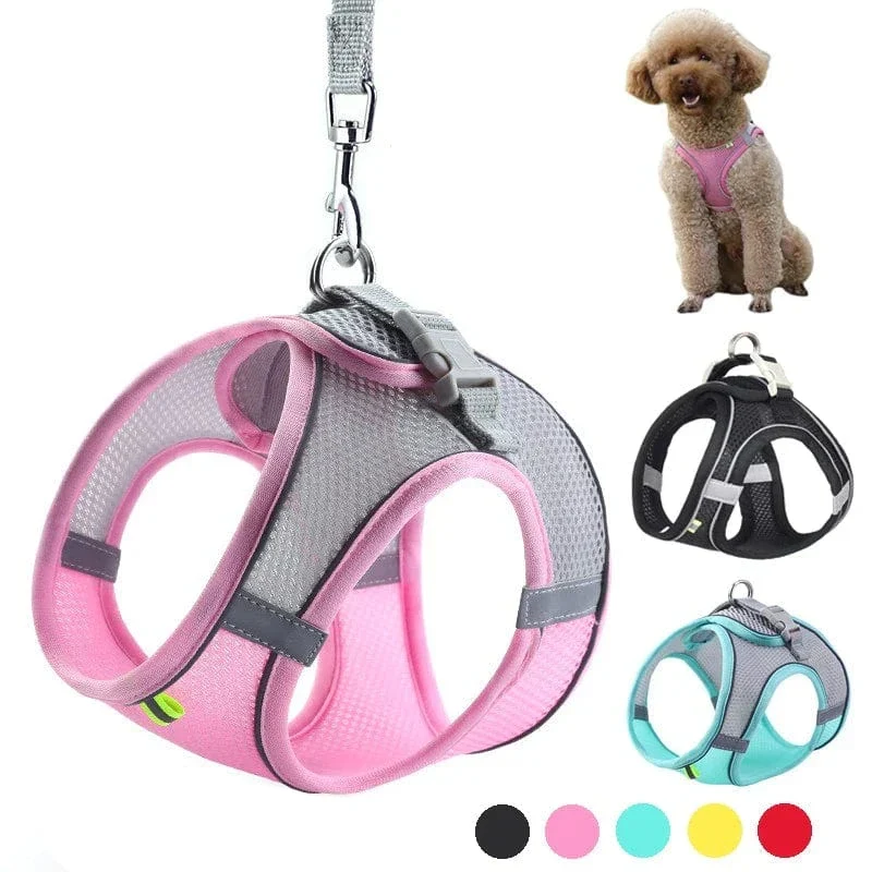 Harnais Ajustable Doux Chien avec Laisse