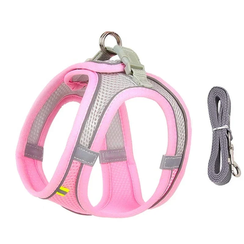 Harnais Ajustable Doux Chien avec Laisse