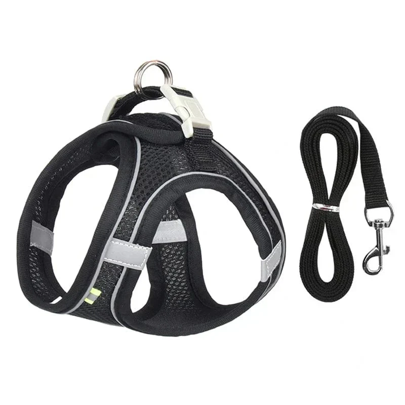 Harnais Ajustable Doux Chien avec Laisse