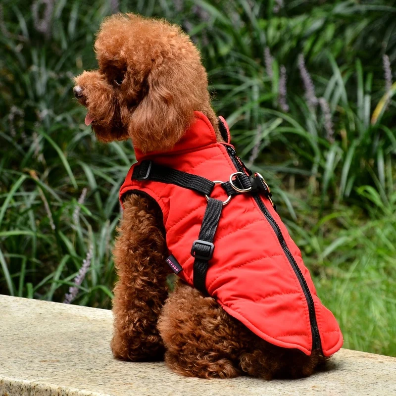 Manteau Rembourré Imperméable Chien XS-XXL