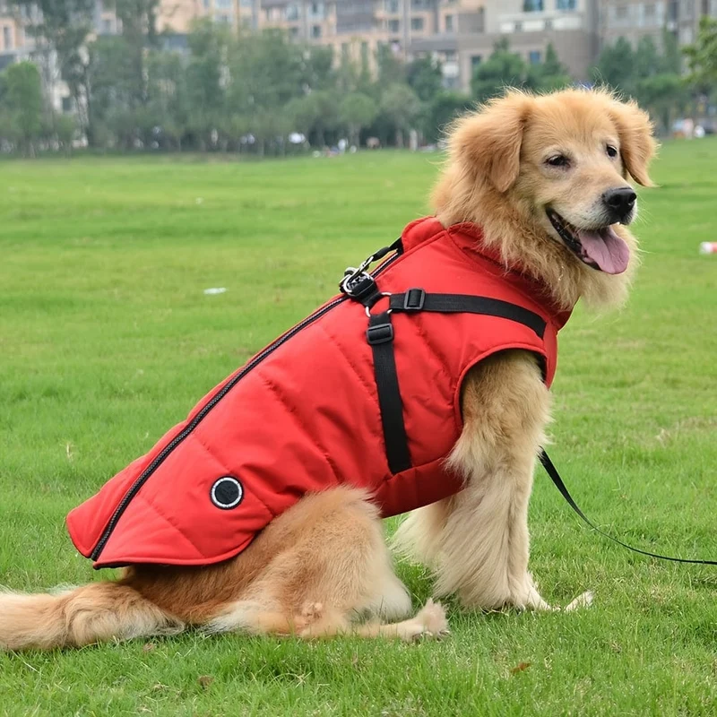 Manteau Rembourré Imperméable Chien XS-XXL