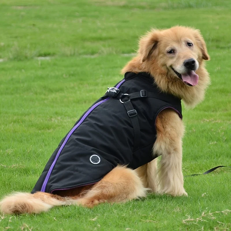 Manteau Rembourré Imperméable Chien XS-XXL