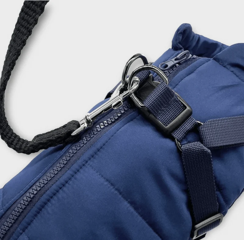 Veste Hiver Imperméable Chien Harnais Intégré