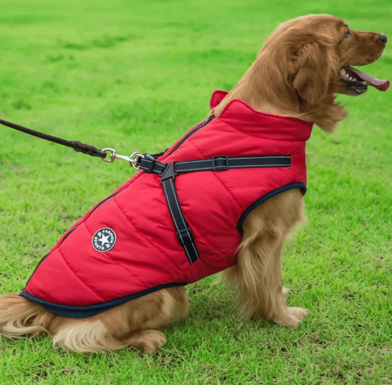 Veste Hiver Imperméable Chien Harnais Intégré