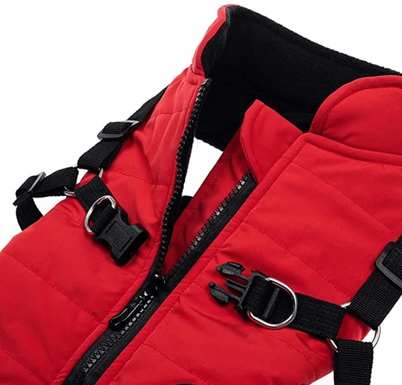 Veste Hiver Imperméable Chien Harnais Intégré