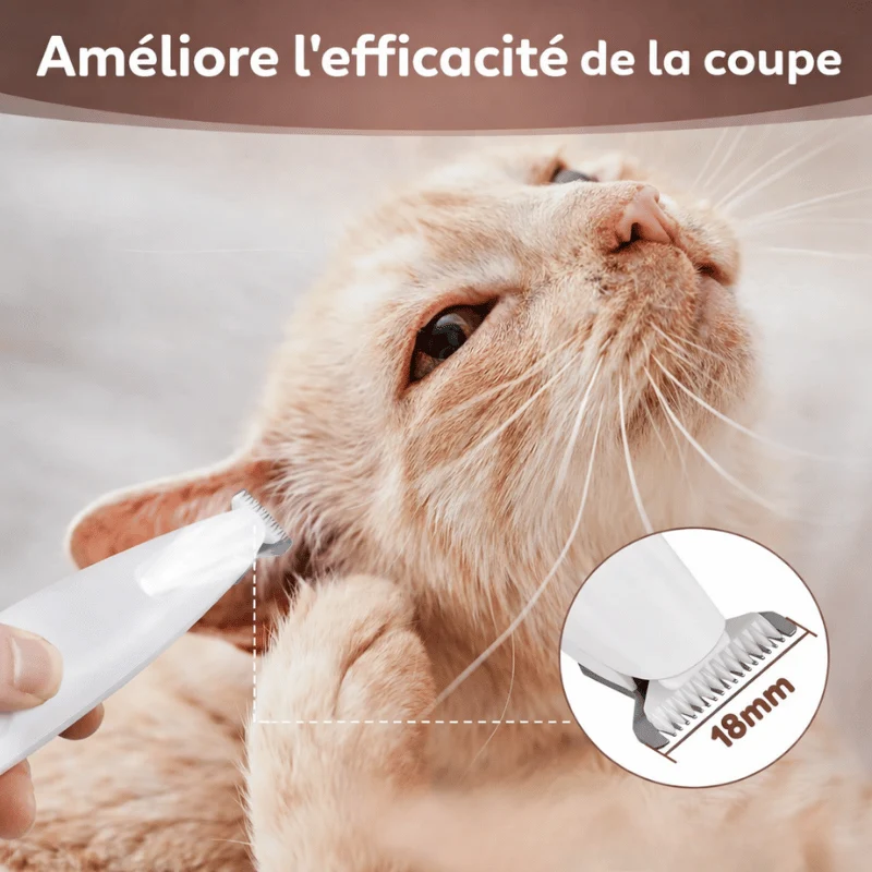 Mini Tondeuse Précision LED Chien Chat