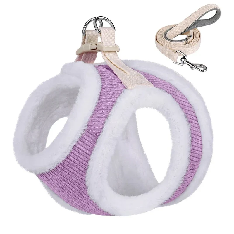 Harnais Hiver Petit Chien Laisse Incluse