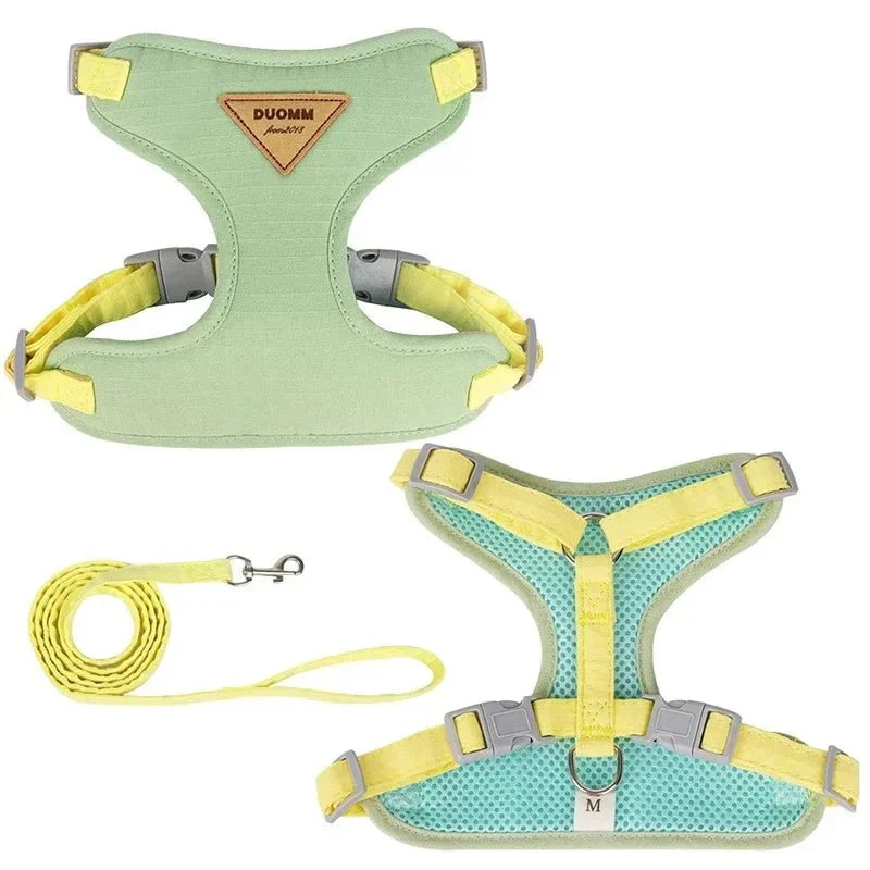 Set Harnais Laisse Respirant Petit Chien