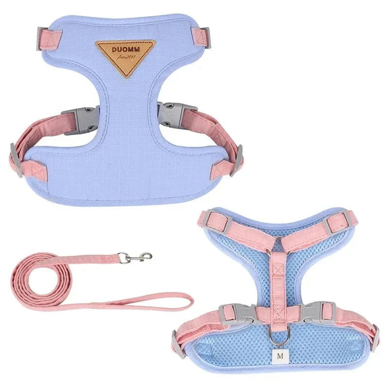 Set Harnais Laisse Respirant Petit Chien