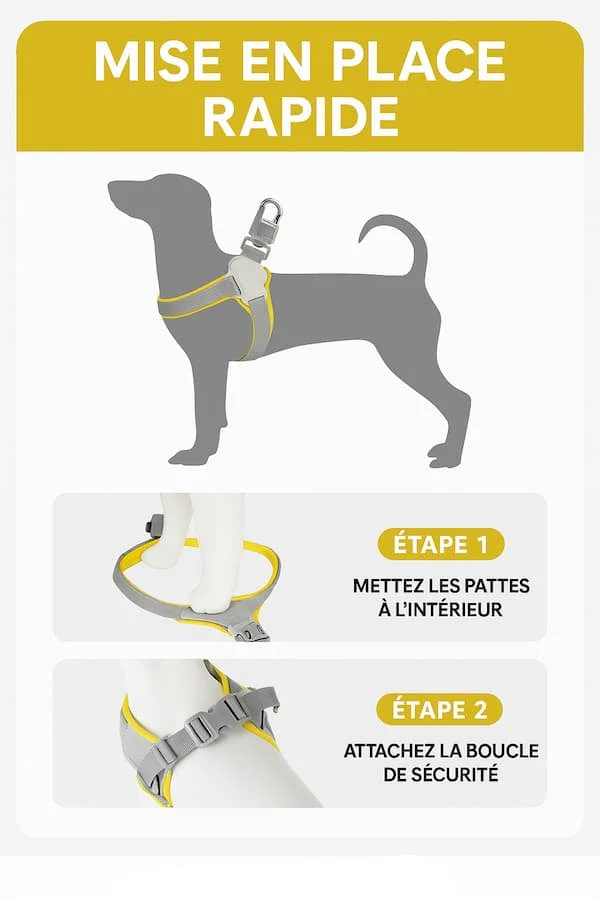 Harnais Forme Y Réfléchissant Gros Chien S-XL
