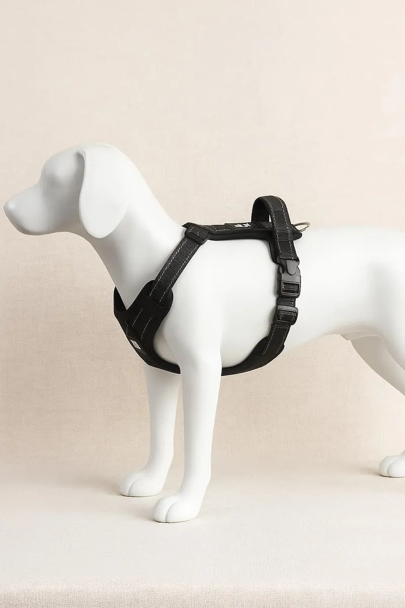Harnais Forme Y Poignée Gros Chien Réglable