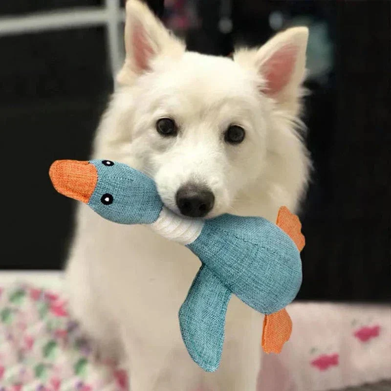 Jouet Ultra-Résistant Caoutchouc Gros Chien Puissant