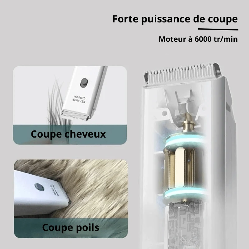 Mini Tondeuse Silencieuse Chien Toilettage