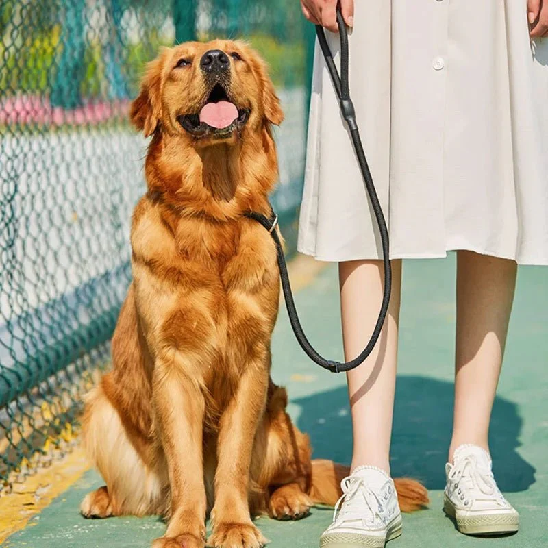 Laisse Lasso Réglable Gros Chien 150cm