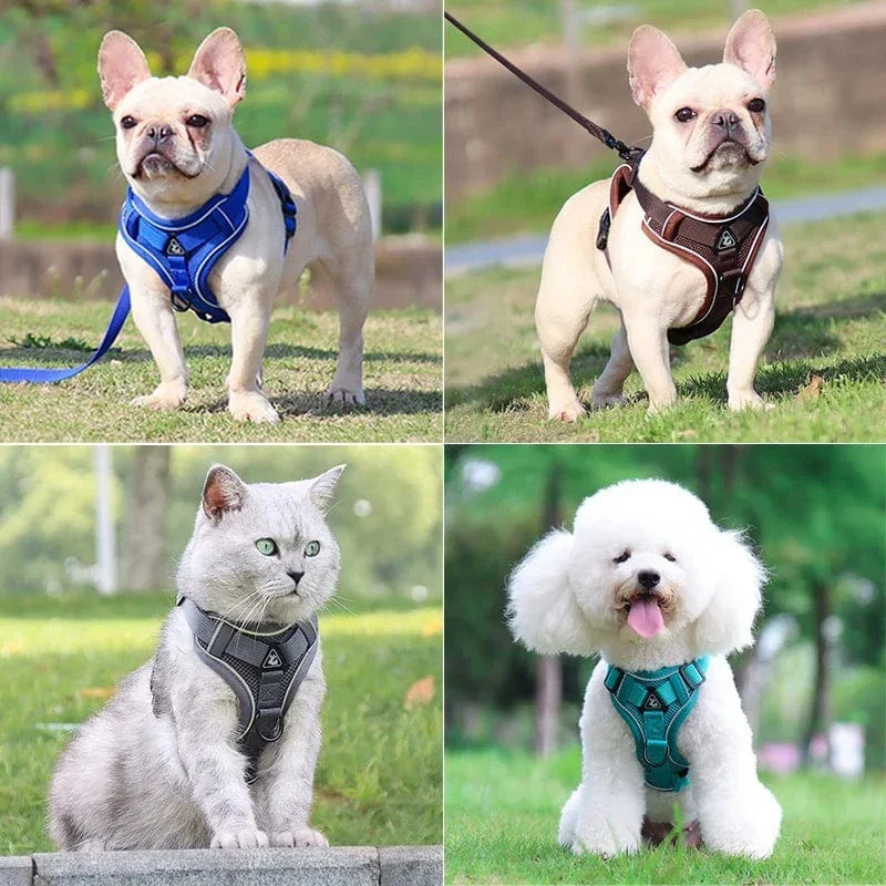 Harnais Réfléchissant Ajustable Chien 6 Coloris