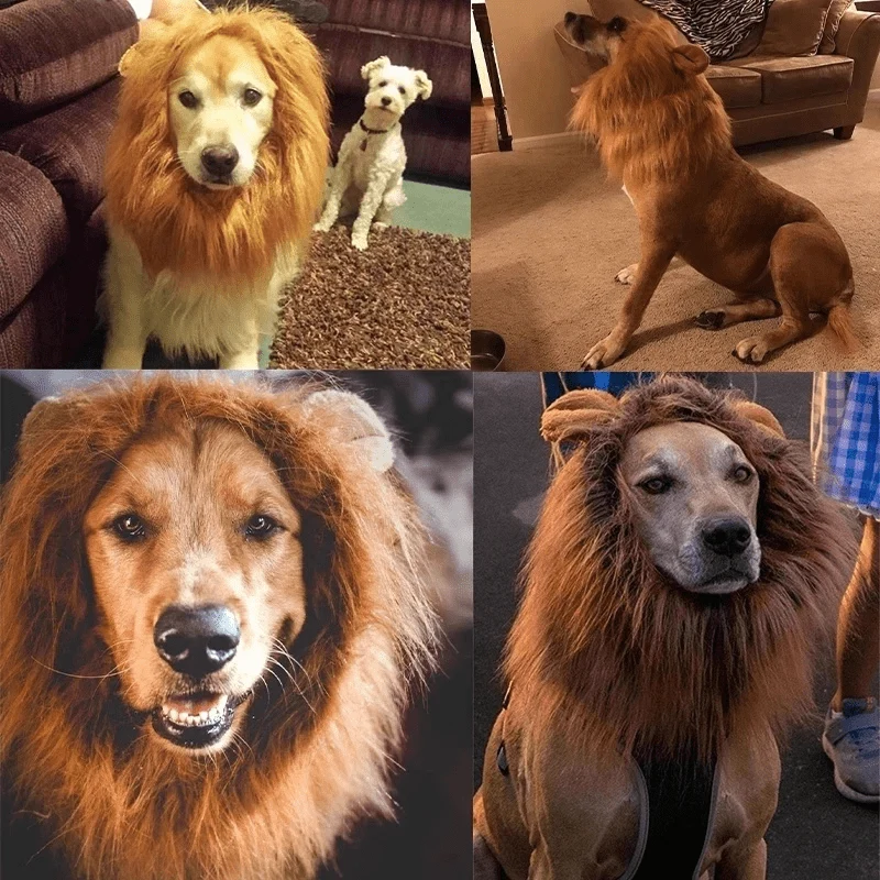 Déguisement Lion Chien Crinière Marron