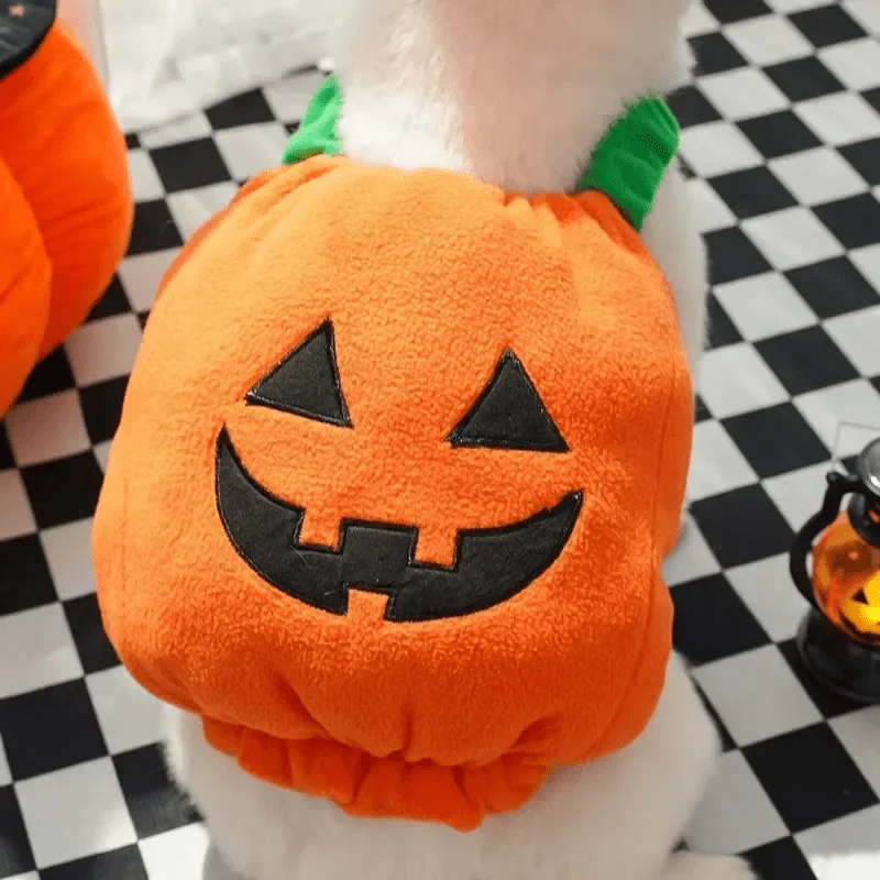 Déguisement Citrouille Chien Halloween XS-L