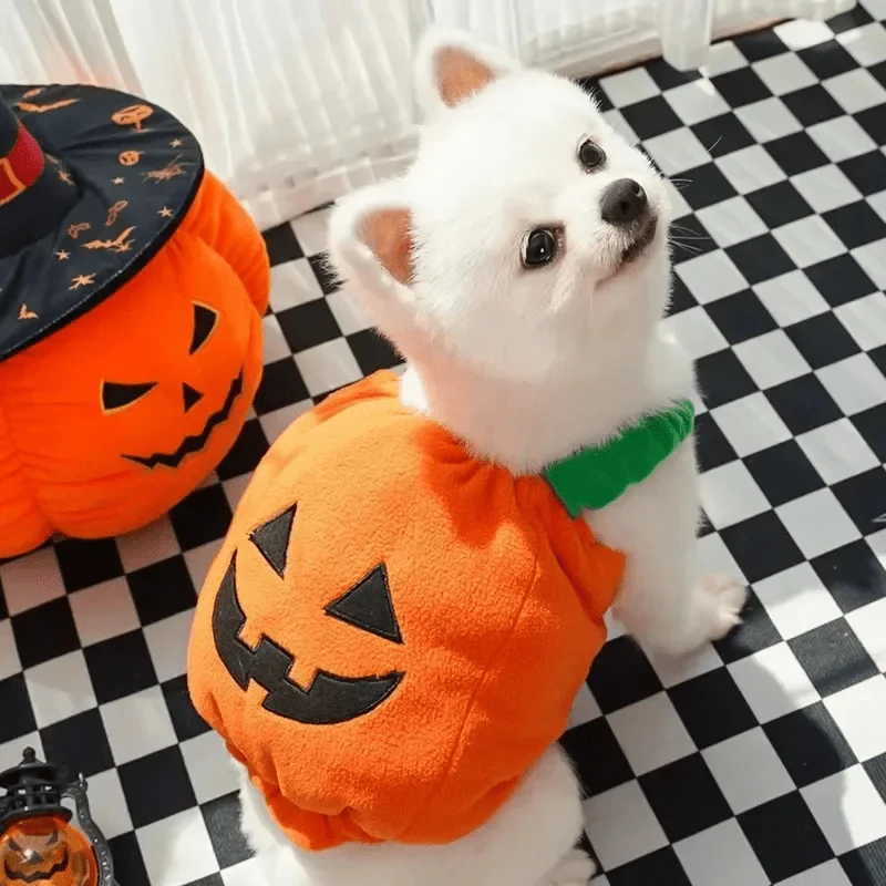 Déguisement Citrouille Chien Halloween XS-L