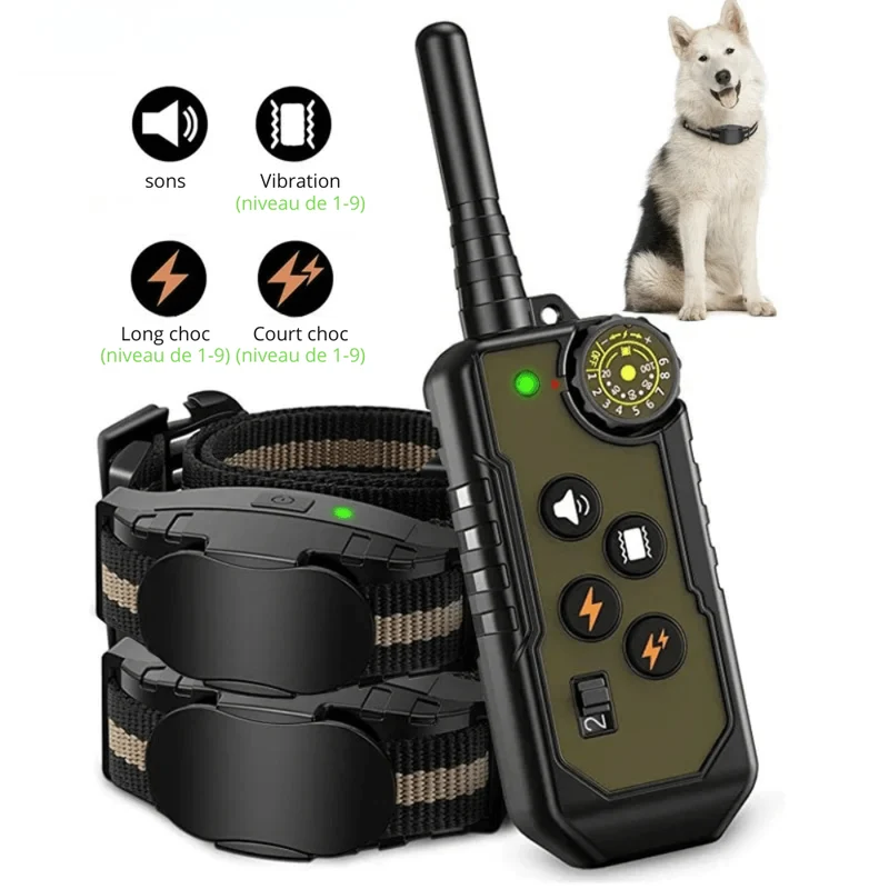 Collier Éducatif Télécommande Chien 1 ou 2 Colliers