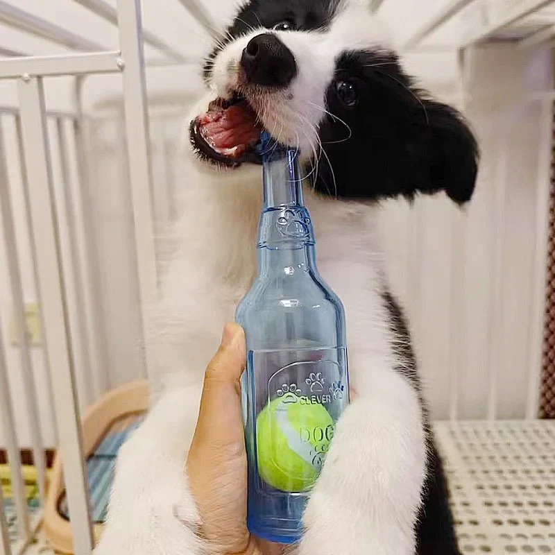 Bouteille Distributrice Balle TPR Jouet Chien