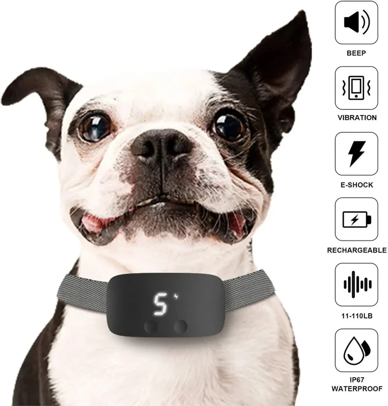 Collier Anti-Aboiement Automatique Étanche Chien