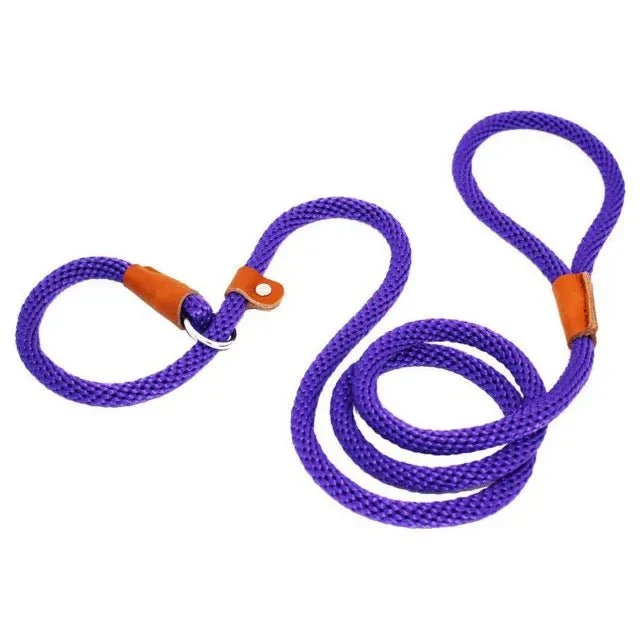 Laisse Lasso Corde Nylon 185cm Gros Chien 7 Coloris