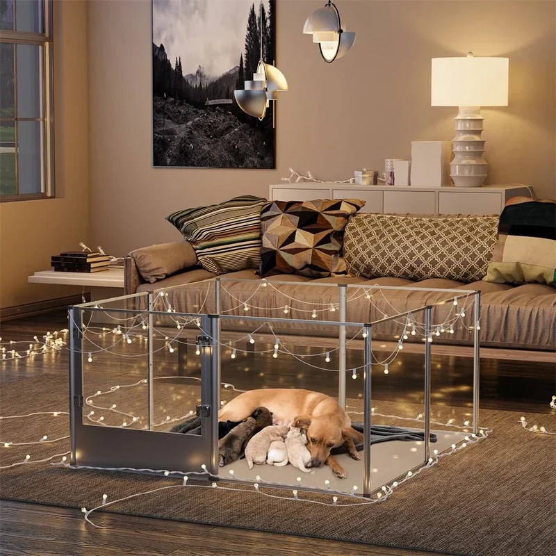 Cage Design Acrylique Transparent Chien