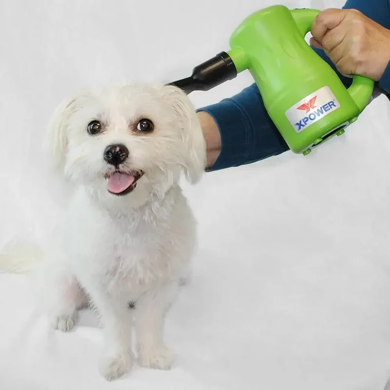 Pulseur Silencieux Chien 3 Vitesses