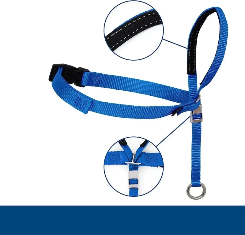 Licol Dressage Anti-Traction Gros Chien