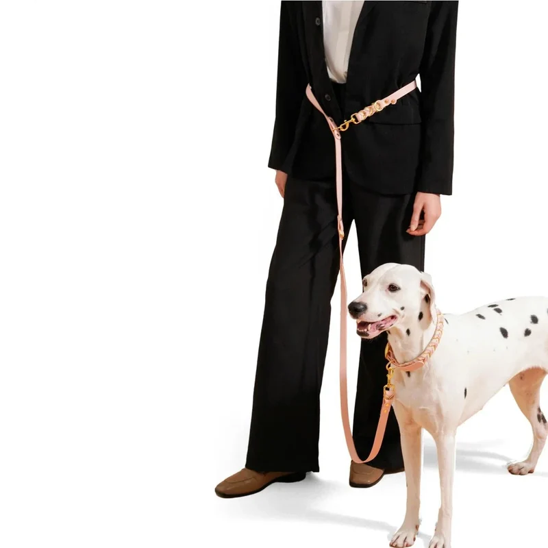 Laisse Lasso Luxe Réfléchissante Gros Chien 210cm