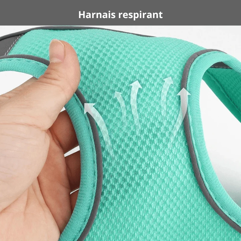 Harnais Nylon Réglable Coloré Gros Chien