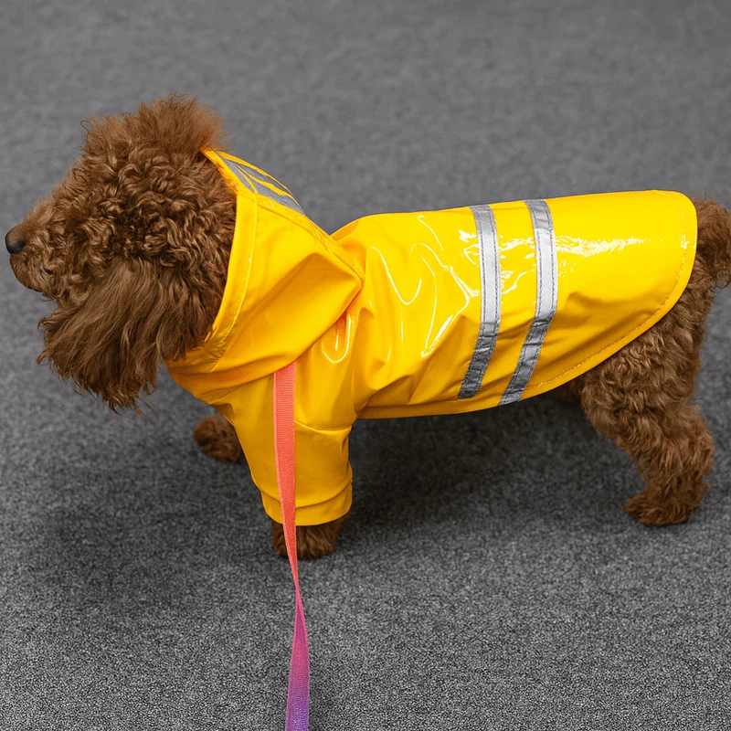 Imperméable Mignon Coloré Petit Chien Pluie
