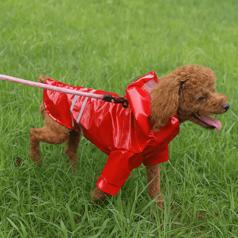 Imperméable Mignon Coloré Petit Chien Pluie