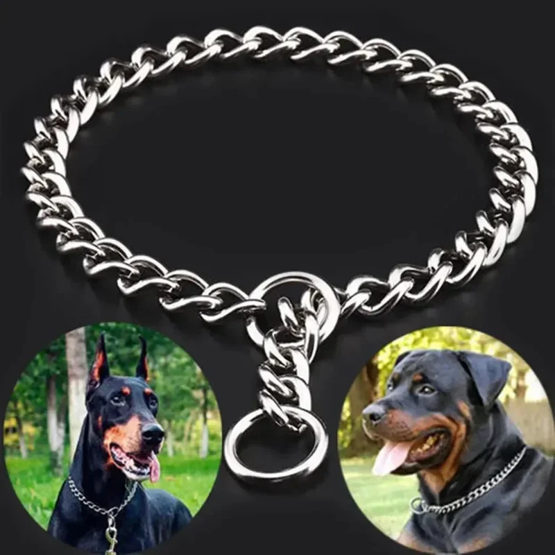 Collier Étrangleur Design Gros Chien Acier