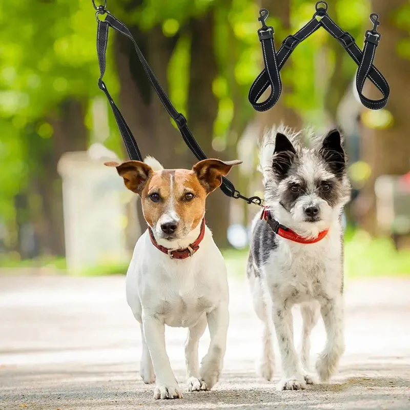 Laisse Double Réglable Chien Zéro Enchevêtrement
