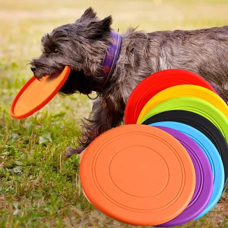Frisbee Indestructible Gros Chien Flottant