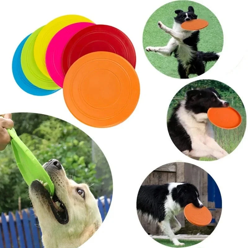 Frisbee Indestructible Gros Chien Flottant