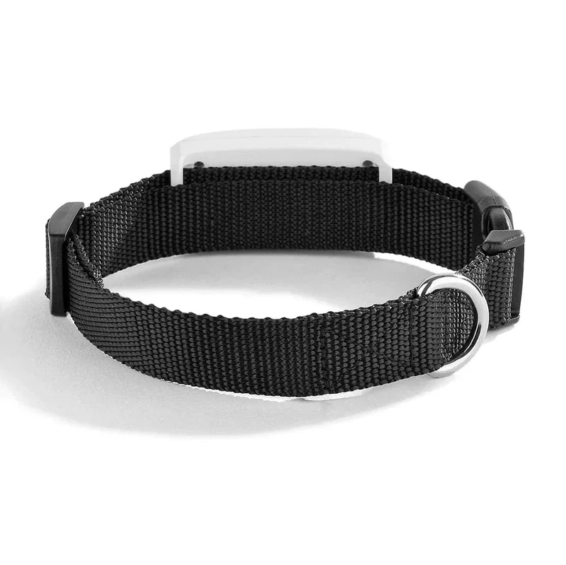 Collier GPS Traceur Étanche 2G pour Chien