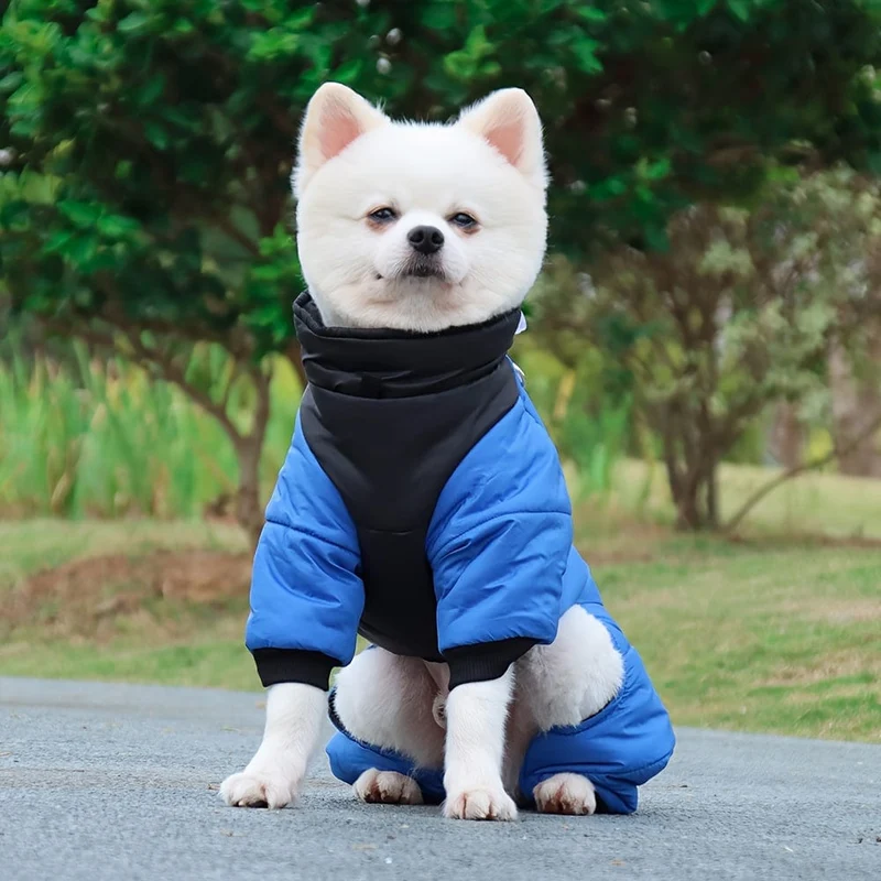 Veste Hiver Isolante pour Grand Chien