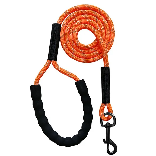 Laisse Corde Longe Dressage Chien